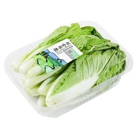 那云那南有机小白菜250g