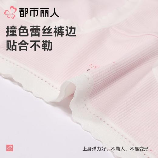 都市丽人内裤女士内裤人棉罗纹内裤木代尔内裤纤柔绵内裤LKC5H1 商品图4