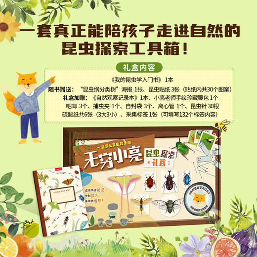 【无穷小亮讲昆虫】我的昆虫学入门书，跟着小亮玩昆虫，发现探索大自然的乐趣 昆虫插画科普 商品图2