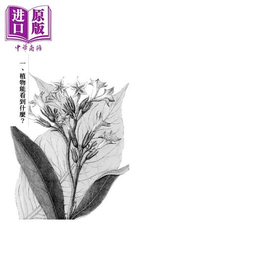 预售 【中商原版】植物的感官世界	丹尼尔 查莫维茨	宝瓶文化	港台原版 商品图1