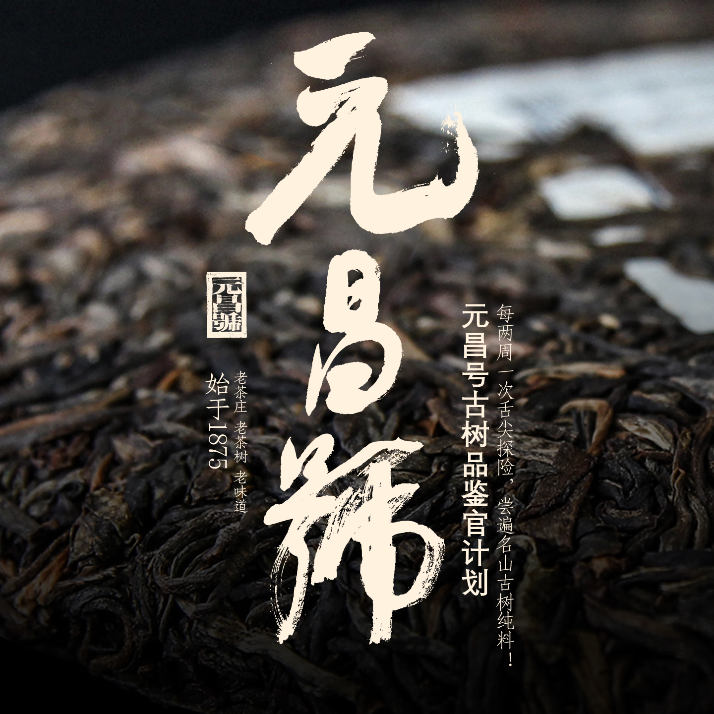 【会员专享】品鉴官计划古树茶样盲品第二期茶品分享