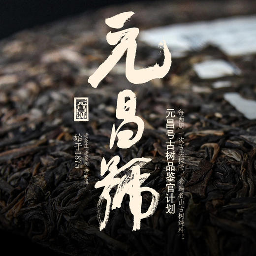 【会员专享】品鉴官计划古树茶样盲品第二期茶品分享 商品图0