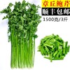 【顺丰/京东】正宗山东章丘鲍芹 特级芹菜 新鲜嫩芽 鲍家村鲍芹 榨汁推荐 3斤礼盒装  - ANXNY 商品缩略图0