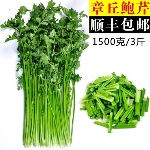 【顺丰/京东】正宗山东章丘鲍芹 特级芹菜 新鲜嫩芽 鲍家村鲍芹 榨汁推荐 3斤礼盒装  - ANXNY 商品图0
