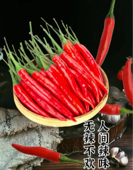 【SF】小米辣  新鲜采摘 产地直发