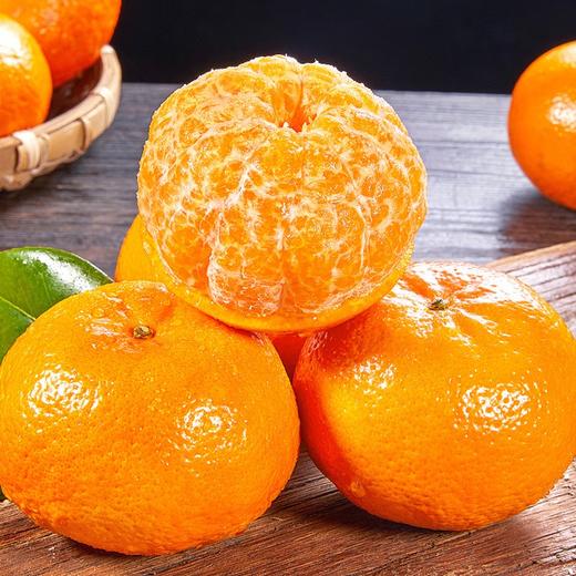 【广西深山老树沃柑！】家庭装（精品微花混装）挂果时间长，风味足！ 商品图1