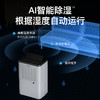 【小户型适用】Bestherm百斯腾全屋循环强排净化除湿一体机 C4 商品缩略图2
