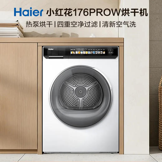 海尔（Haier）干衣机 EHG100176PROW 商品图1