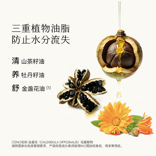 枕草子f&f系列青松沐浴油300ml，以油溶油，净肤更润肤 商品图3