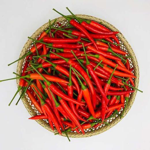 【SF】小米辣  新鲜采摘 产地直发 商品图1