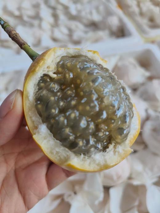 西双版纳*热情果 商品图3