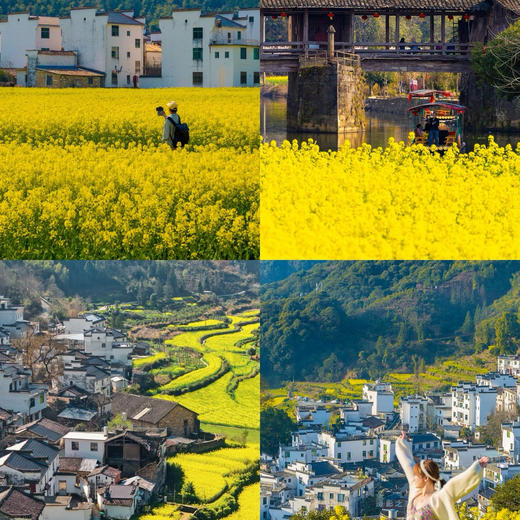 【春赏油菜花】江西婺源国际大酒店踏青旅居￥449起单人2晚/3晚，2人起订，黛瓦粉墙隐入金黄花海，赴一场村落炊烟的春日盛宴！ 商品图2
