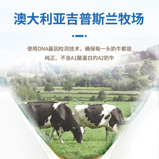 AU KingCare 珍澳A2β酪蛋白全脂奶粉 便携装 商品图3