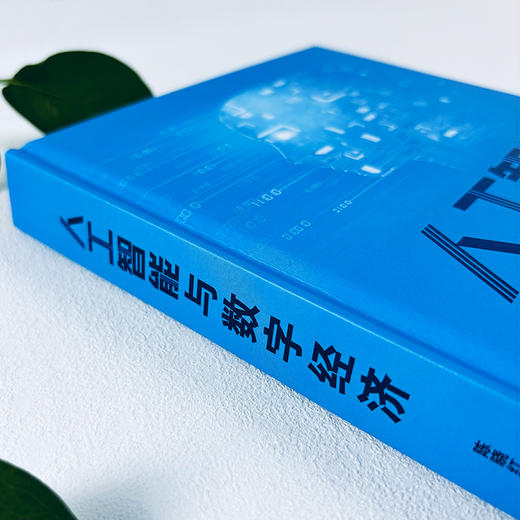人工智能与数字经济 商品图3