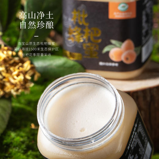 蟲鑫枇杷蜂蜜|生于云海之巅 酿自纯净之源  秋冬季节温润佳品【清明期间正常发货】 商品图4