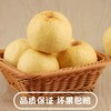 山西女皇蜂蜜贡梨【29元5斤】丨果肉饱满多汁 皮薄肉厚 商品缩略图0