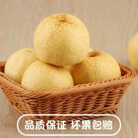 山西女皇蜂蜜贡梨【29元5斤】丨果肉饱满多汁 皮薄肉厚
