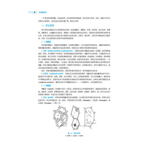 药用植物学 第5五版 路金才 主编 全国高等医药院校药学类专业第六轮规划教材 供中药学类、药学类专业用 中国医药科技出版社 商品图4