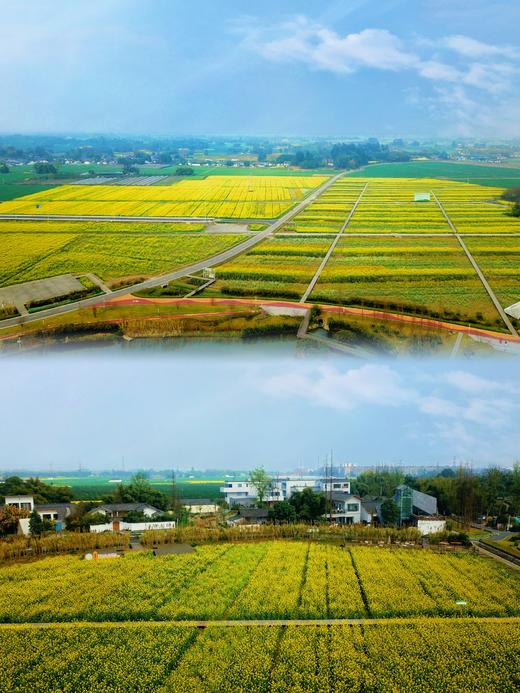 【春日出游·6折享】¥1480起住4房/5房/6房别墅！春日踏青徒步，平时周末通用！邛崃112号院，设计师精品民宿，千亩油菜花田，dx 商品图6