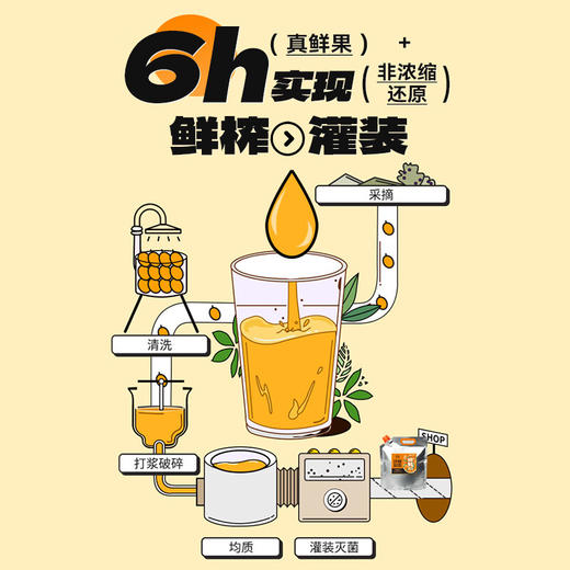 【沙棘原浆 500ml*4，大袋实惠更划算】福牌沙棘原浆500ml*4袋 商品图2