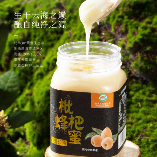 蟲鑫枇杷蜂蜜|生于云海之巅 酿自纯净之源  秋冬季节温润佳品【清明期间正常发货】 商品图0