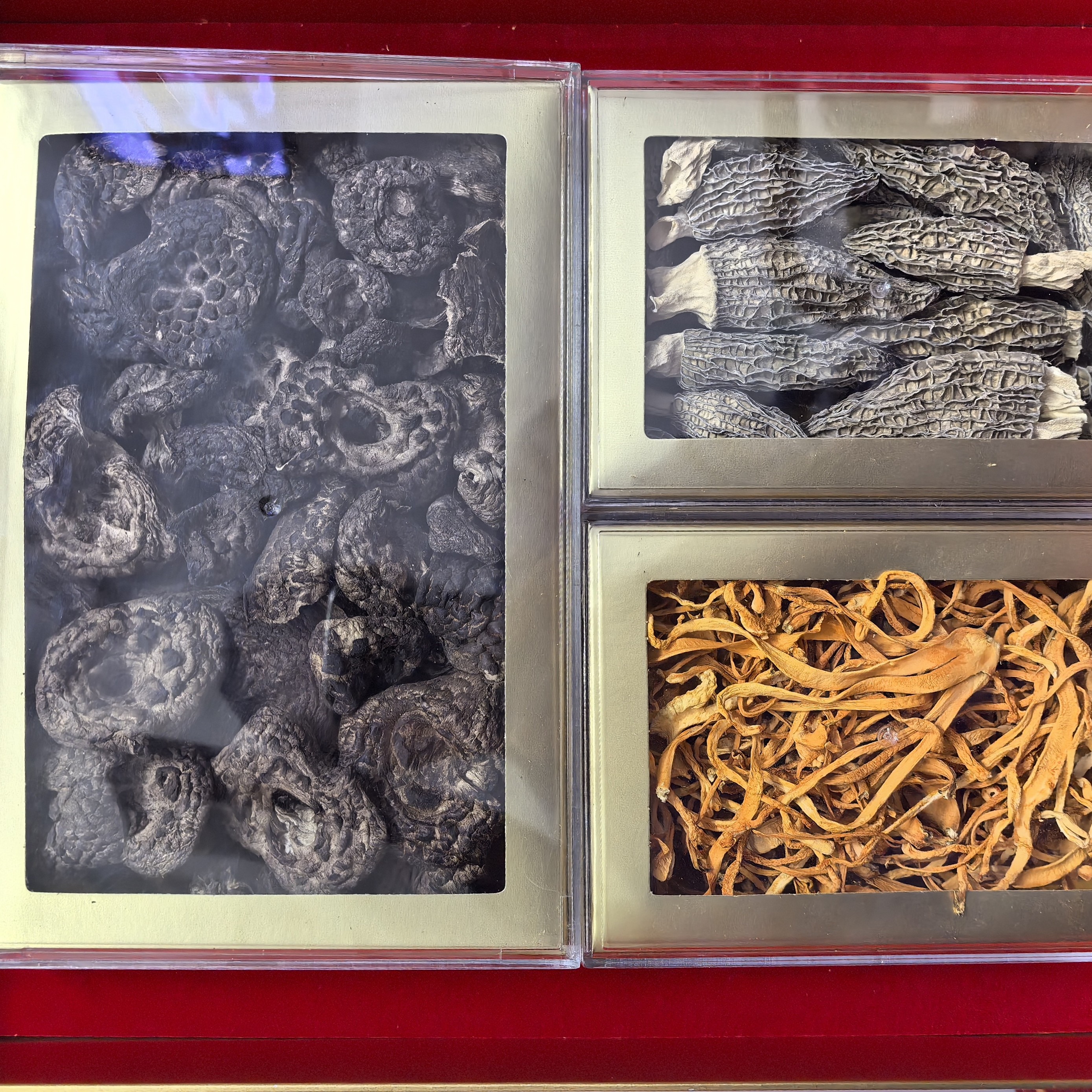 菇菇丫-悦来悦好【首发】