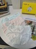 拍2减5！小白狗孔庙祈福成长系列内衣内裤  26Y03018- 商品缩略图13