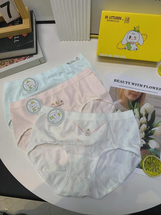 拍2减5！小白狗孔庙祈福成长系列内衣内裤  26Y03018- 商品图13