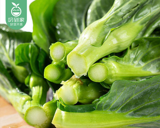 春菜·新鲜苏州青苔（300g±10g/份） 商品图2