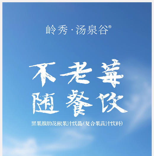 岭秀·汤泉谷不老莓随餐饮30ml*30袋 商品图2