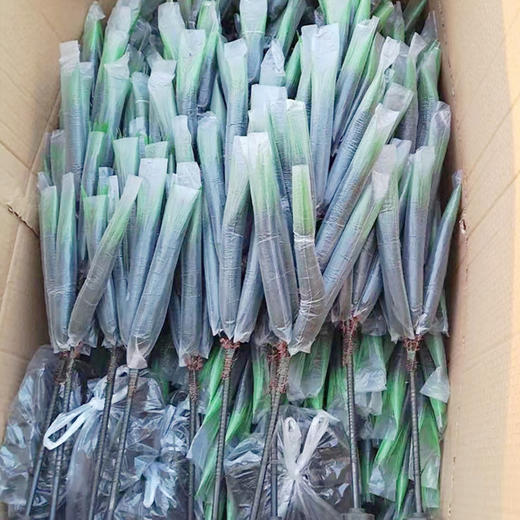 松树清明节公墓60-1.2米塑料仿真松树 商品图2