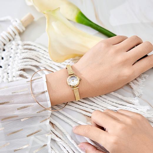 西铁城光动能女款腕表EG7082-66A 商品图6