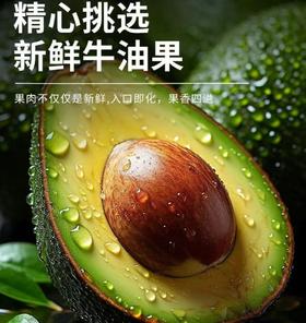 精选哈斯牛油果