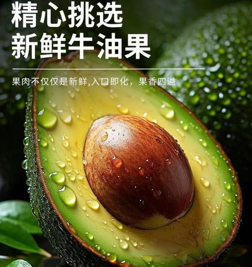精选哈斯牛油果 商品图0