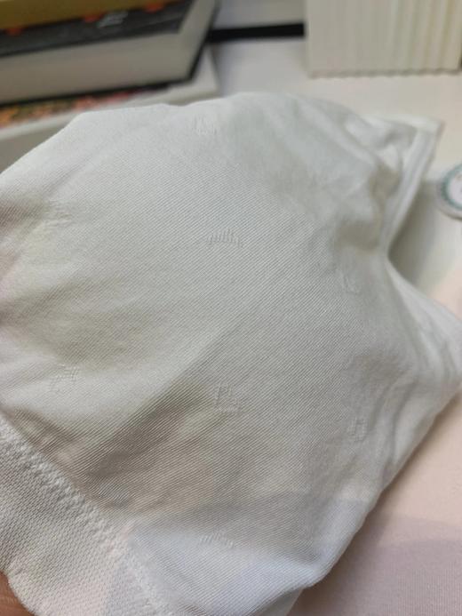 拍2减5！小白狗孔庙祈福成长系列内衣内裤  26Y03018- 商品图6