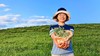 锡盟草原韭菜花酱160g*2  包邮|基地直发 商品缩略图2