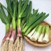 【ZCWJ】  蒜苗  红根蒜苗本地蒜苗  新鲜蔬菜 商品缩略图0