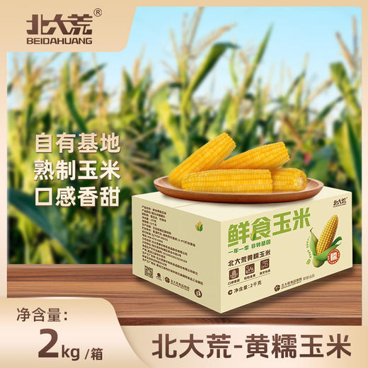 「4斤装！黄糯玉米」北大荒玉米东北糯玉米 整箱发货 真空香糯粮油米面 商品图0