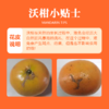 【广西深山老树沃柑！】家庭装（精品微花混装）挂果时间长，风味足！ 商品缩略图3