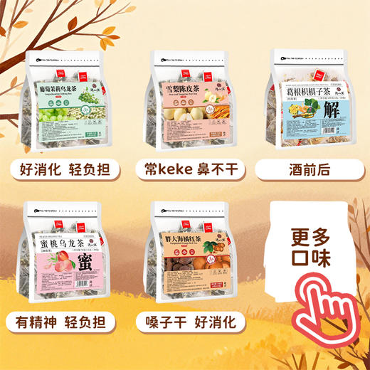 湾八宝独立包装袋泡茶蜜桃乌龙葡萄茉莉雪梨陈皮葛根枳棋子茶胖大海红茶绿茶 商品图5
