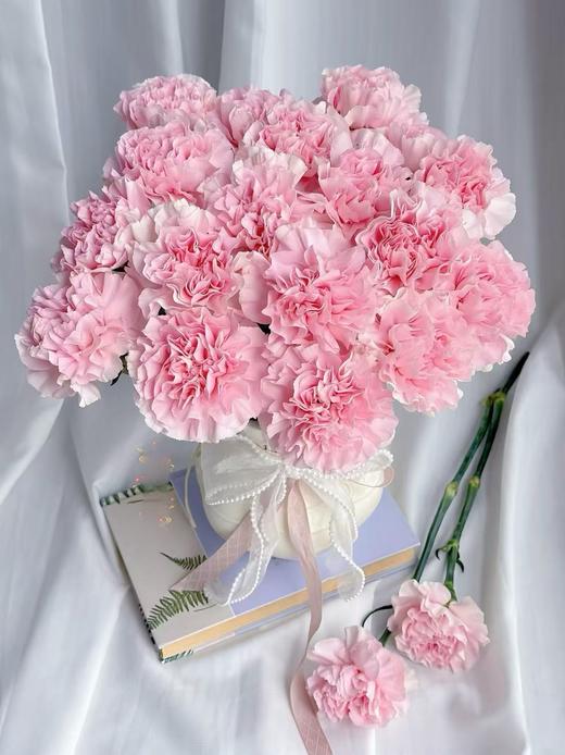 粉佳人单头康乃馨20枝 商品图0