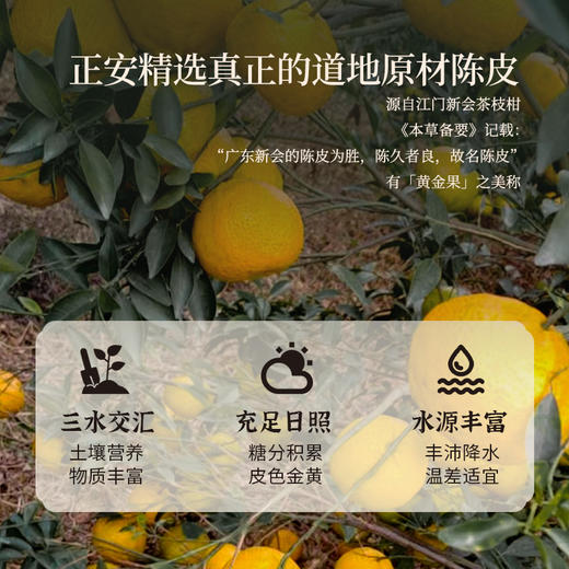 【正安】 陈皮 广东新会产区足陈化15年间 自然生晒干仓足陈温润甘醇 茶枝柑大红皮 优质原材50g/盒 商品图3