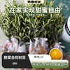脆蜜金柑树苗丨田园自由，轻松在家实现种植自由，易种植，是树苗，不带果⭐️顺丰/京东随机发 商品缩略图0