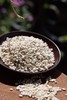 【老品种薏仁米】| 元和优选 云南普洱墨江无糠味 480克/1包 商品缩略图1