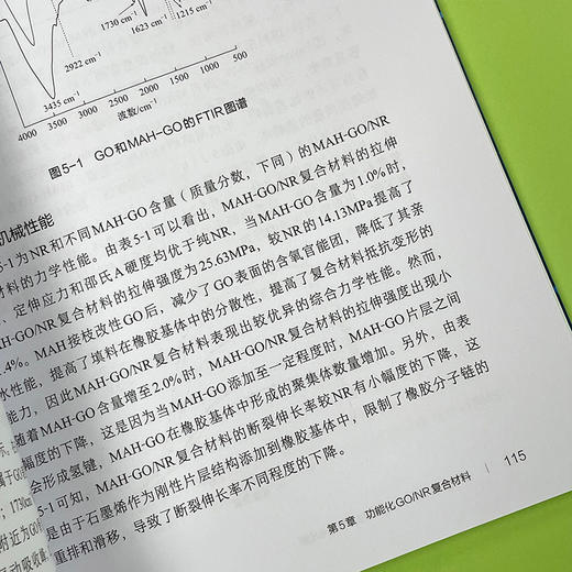 二维片层填料/橡胶复合材料制备与性能 商品图5