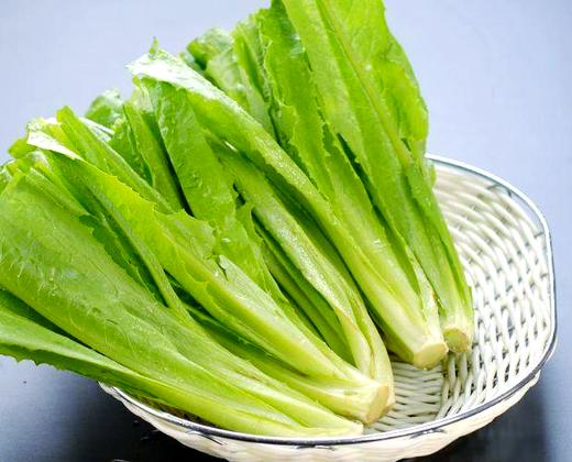 【SF】油麦菜 新鲜采摘 产地直发 商品图1