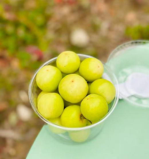 新到小而甜蜜的“晴王枣”，值得每一位喜欢美食的人去品尝~ 商品图4