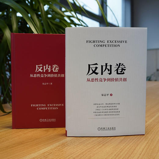 反内卷 从恶性竞争到价值共创 宋志平 政策引导 供给侧改革 需求侧管理 行业自律 差异化 反不正当竞争 企业经营管理书籍 商品图4