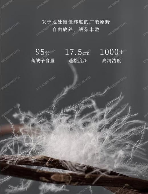 6F堂皇  典藏1986加拿大95白鹅绒春秋被 / 冬被 商品图2