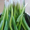 【ZCWJ】  新鲜小葱  蔬菜小水葱细葱蘸酱葱 商品缩略图1